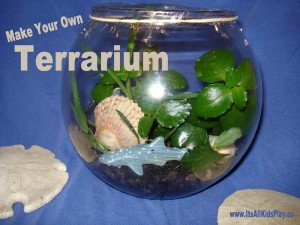 Create your own terrarium