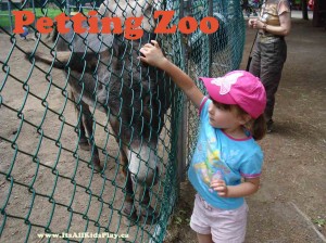 Petting Zoo